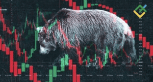 Understanding Crypto Bear Markets